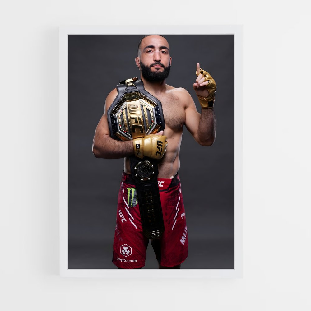 Poster Belal muhammad (vue 3)